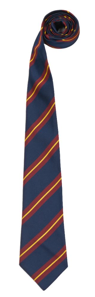 PALMER TIE, Palmer Catholic Academy