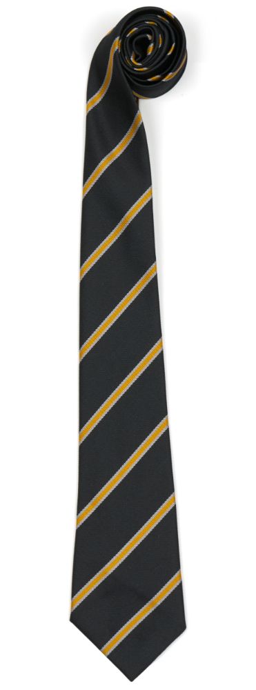 WOODBRIDGE TIE, Woodbridge High School