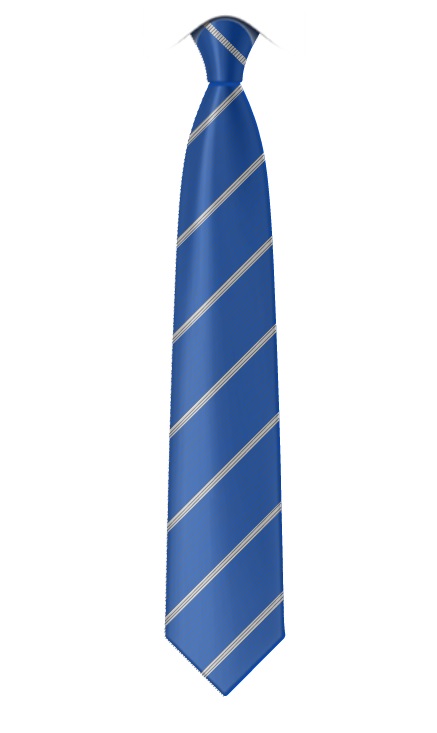 ROYAL DOCKS TIE - LOWER, Royal Docks Academy