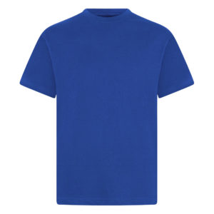 CREW NECK T-SHIRT - ROYAL, PE Polos and T-Shirts, Newbury Park Primary School