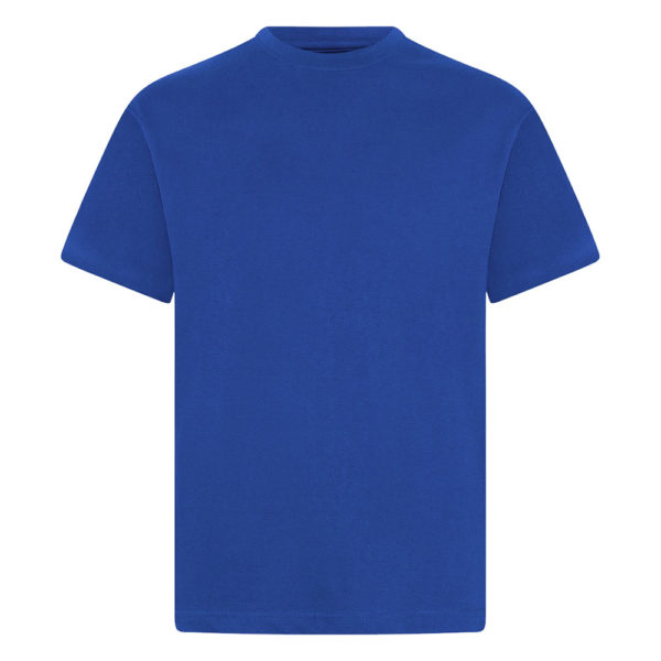 CREW NECK T-SHIRT - ROYAL, PE Polos and T-Shirts, Newbury Park Primary School