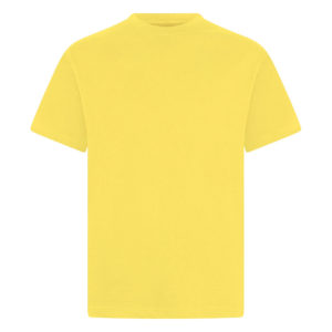 CREW NECK T-SHIRT - YELLOW, PE Polos and T-Shirts, Newbury Park Primary School