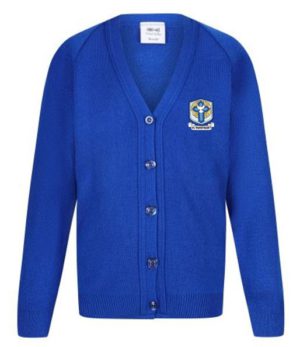 ST WINEFRIDES CARDIGAN, St Winefrides